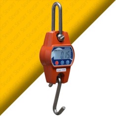 Desis OCS-C Dijital Vinç Baskülü (100KG / 20GR)