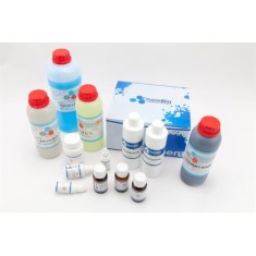 Phenolphthalein Presumptive Blood Test Kit