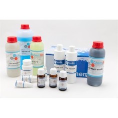 LCV Presumptive Blood Test Kit
