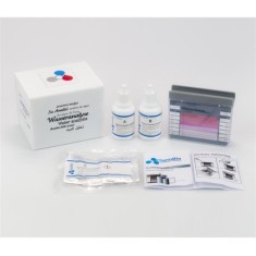 Klordioksit Test Kiti
